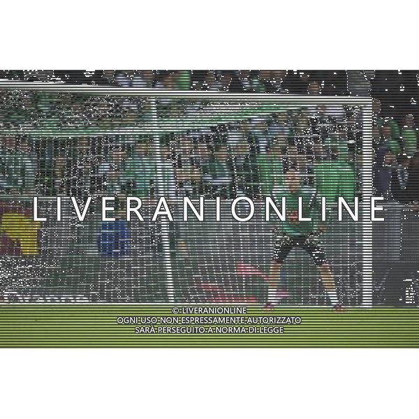 Stephane RUFFIER - 25.09.2014 - Saint Etienne / Bordeaux - 7e journee de Ligue 1 Photo: Jean Paul Thomas / Icon Sport AG ALDO LIVERANI SAS ONLY ITALY
