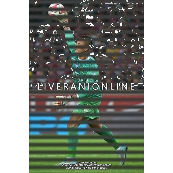 Alphonse AREOLA - 27.09.2014 - Lille / Bastia - 8eme journee de Ligue 1 Photo : Dave Winter / Icon Sport AG ALDO LIVERANI SAS ONLY ITALY