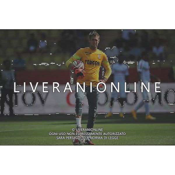 Martin Stekelenburg - 27.09.2014 - Monaco / Nice - 8eme journee de Ligue 1 Photo : Neal Simpson / Icon Sport AG ALDO LIVERANI SAS ONLY ITALY