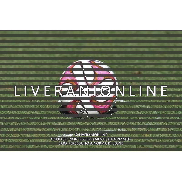 Illustration Ballon Officiel - Illustration Spray - 915 Fair Play - 27.09.2014 - Monaco / Nice - 8eme journee de Ligue 1 Photo : Neal Simpson / Icon Sport AG ALDO LIVERANI SAS ONLY ITALY