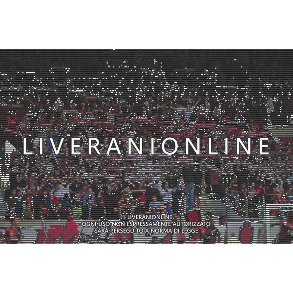 Supporters Guingamp - 24.09.2014 - Guingamp / Metz - 7eme journee Ligue 1 Photo : Philippe Le Brech / Icon Sport /Agenzia Aldo Liverani sas - ITALY ONLY - EDITORIAL USE ONLY