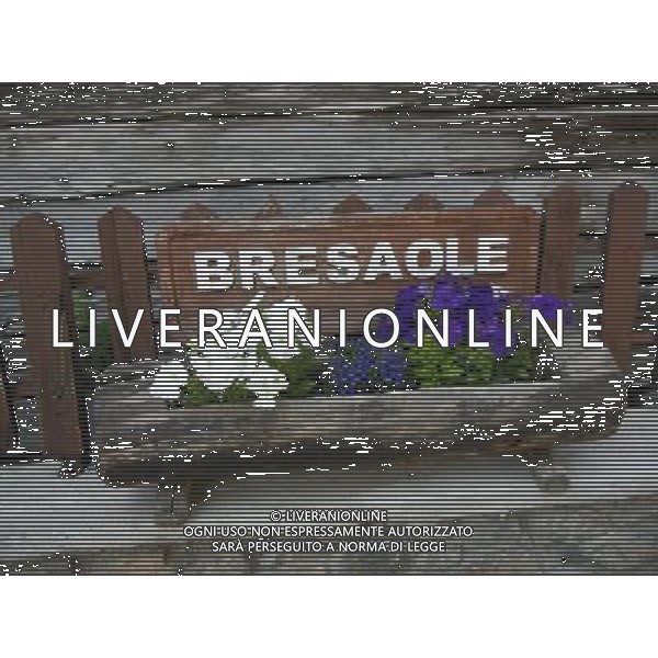 LIVIGNO NELLA FOTO PANORAMICA DI LIVIGNO AG ALDO LIVERANI SAS