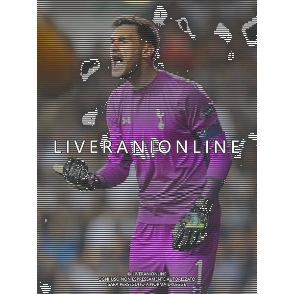 Tottenham Hotspur\'s Hugo Lloris Photographer Kieran Galvin/CameraSport Football - UEFA Europa League Group C - Tottenham Hotspur v Besiktas - Thursday 02nd October 2014 - White Hart Lane - London © CameraSport - 43 Linden Ave. Countesthorpe. Leicester. England. LE8 5PG - Tel: +44 (0) 116 277 4147 - admin@camerasport.com - www.camerasport.com /Agenzia Aldo Liverani sas - ITALY ONLY - EDITORIAL USE ONLY
