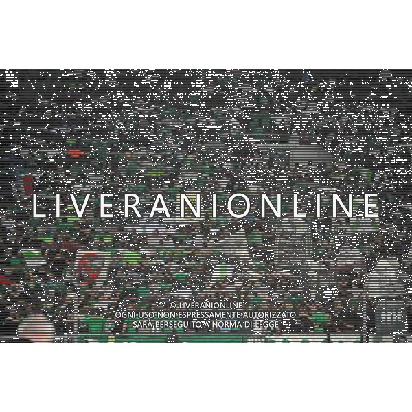 AMBIANCE SUPPORTERS - 02.10.2014 - Saint Etienne / Dnipro Dnipropetrovsk - Europa League Photo : Jean Paul Thomas / Icon Sport AG ALDO LIVERANI SAS ONLY ITALY