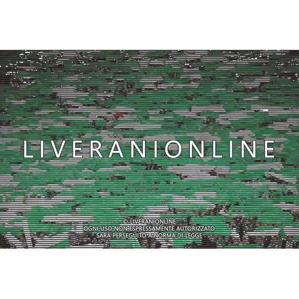 AMBIANCE SUPPORTERS - 02.10.2014 - Saint Etienne / Dnipro Dnipropetrovsk - Europa League Photo : Jean Paul Thomas / Icon Sport AG ALDO LIVERANI SAS ONLY ITALY