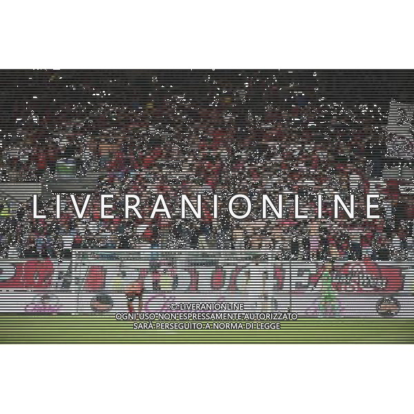 Supporters Guingamp - 02.10.2014 - Guingamp / PAOK Salonique - Europa League Photo : Fred Porcu / Icon Sport AG ALDO LIVERANI SAS ONLY ITALY