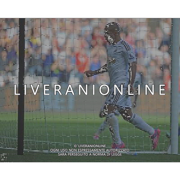 CELEBRATION - Swansea City\'s Wayne Routledge celebrates scoring his sides second goal Photographer Ashley Crowden/CameraSport Football - Barclays Premiership - Swansea City v Newcastle United - Saturday 04th October 2014 - Liberty Stadium - Swansea © CameraSport - 43 Linden Ave. Countesthorpe. Leicester. England. LE8 5PG - Tel: +44 (0) 116 277 4147 - admin@camerasport.com - www.camerasport.com