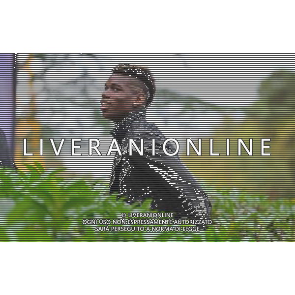 Paul POGBA - 06.10.2014 - Football -Equipe de France - Arrivee a Clairefontaine Photo : Dave Winter / Icon Sport AG ALDO LIVERANI SAS ONLY ITALY