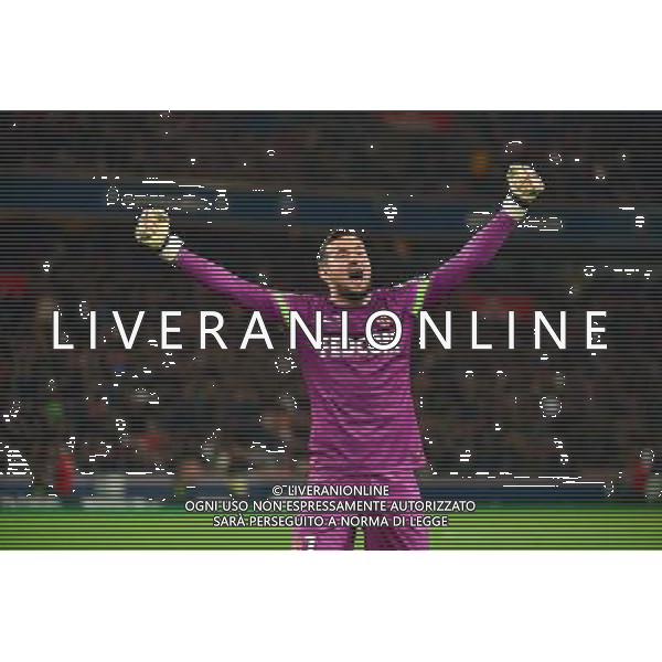 Joie Danijel SUBASIC - 05.10.2014 - Paris Saint Germain / Monaco - 9eme journee de Ligue 1 Photo : WinterPress / Icon Sport