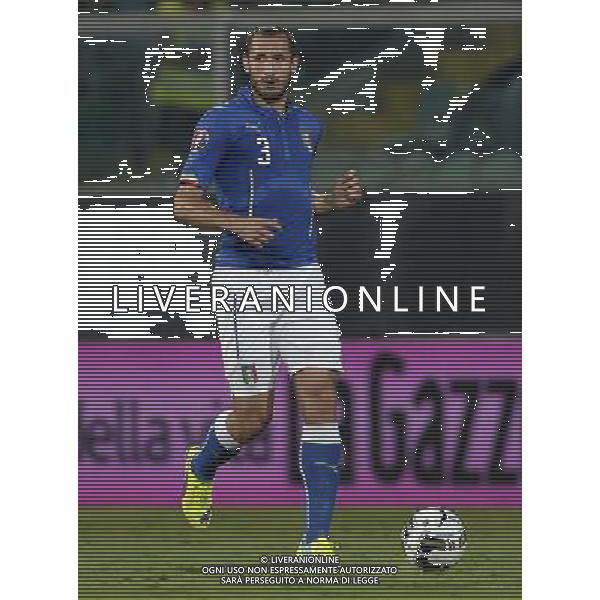 Qualificazioni ai Campionati Europei di Calcio UEFA Francia 2016 Gruppo H Palermo - 10.10.2014 Italia-Azerbaijan Nella Foto:chiellini giorgio /Ph.Vitez-Ag. Aldo Liverani