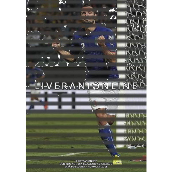 Qualificazioni ai Campionati Europei di Calcio UEFA Francia 2016 Gruppo H Palermo - 10.10.2014 Italia-Azerbaijan Nella Foto: esultanza dopo il gol di giorgio chiellini /Ph.Vitez-Ag. Aldo Liverani