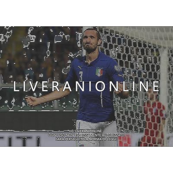 Qualificazioni ai Campionati Europei di Calcio UEFA Francia 2016 Gruppo H Palermo - 10.10.2014 Italia-Azerbaijan Nella Foto: esultanza dopo il gol di giorgio chiellini /Ph.Vitez-Ag. Aldo Liverani