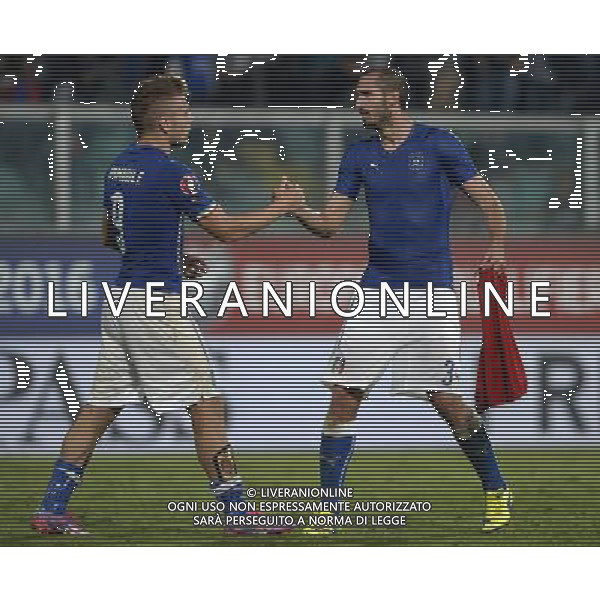 Qualificazioni ai Campionati Europei di Calcio UEFA Francia 2016 Gruppo H Palermo - 10.10.2014 Italia-Azerbaijan Nella Foto: giorgio chiellini esulta a fine partita con ciro immobile /Ph.Vitez-Ag. Aldo Liverani