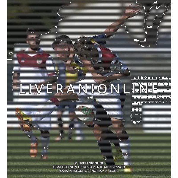 Campionato di Calcio Lega Pro Girone B 2014/2015 8 Giornata Rimini - 11.10.2014 Santarcangelo-Reggiana Nella Foto:sabotic-guidone /Ph.Vitez-Ag. Aldo Liverani