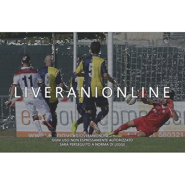 Campionato di Calcio Lega Pro Girone B 2014/2015 8 Giornata Rimini - 11.10.2014 Santarcangelo-Reggiana Nella Foto:siega gol /Ph.Vitez-Ag. Aldo Liverani