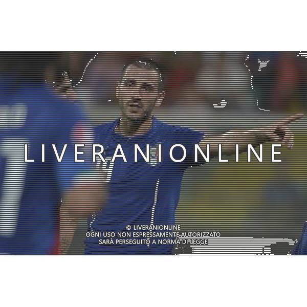 Qualificazioni ai Campionati Europei di Calcio UEFA Francia 2016 Gruppo H Palermo - 10.10.2014 Italia-Azerbaijan Nella Foto:Bonucci Leonardo /Ph.Vitez-Ag. Aldo Liverani