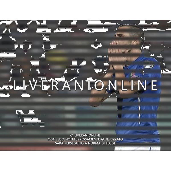 Qualificazioni ai Campionati Europei di Calcio UEFA Francia 2016 Gruppo H Palermo - 10.10.2014 Italia-Azerbaijan Nella Foto:Bonucci Leonardo /Ph.Vitez-Ag. Aldo Liverani