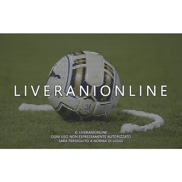 Qualificazioni ai Campionati Europei di Calcio UEFA Francia 2016 Gruppo H Palermo - 10.10.2014 Italia-Azerbaijan Nella Foto:Calcio Arbitro Barriera spray /Ph.Vitez-Ag. Aldo Liverani