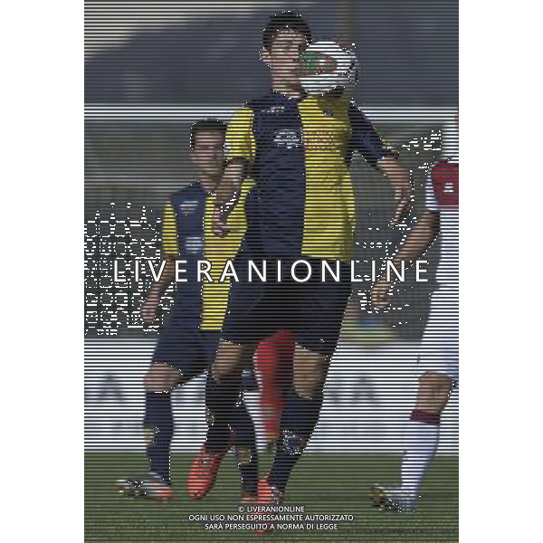 Campionato di Calcio Lega Pro Girone B 2014/2015 8 Giornata Rimini - 11.10.2014 Santarcangelo-Reggiana Nella Foto:Dimitri Bisoli /Ph.Vitez-Ag. Aldo Liverani
