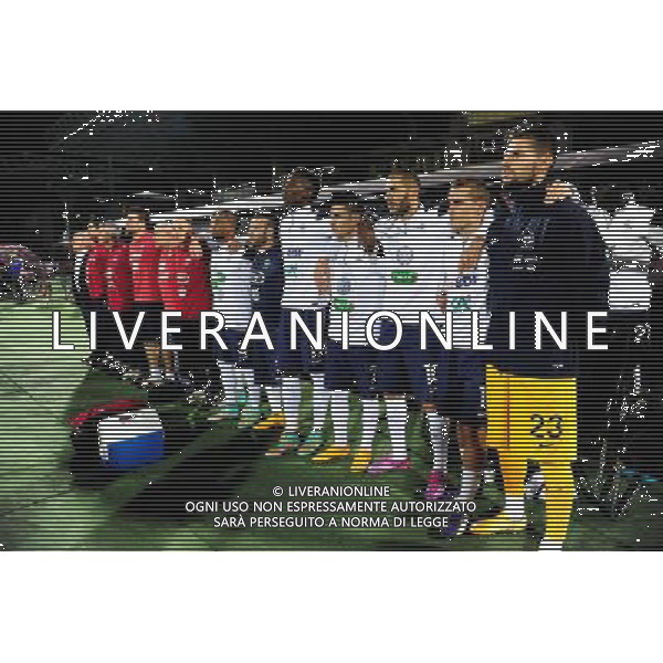 Patrice EVRA / Paul POGBA / Remy CABELLA / Karim BENZEMA / Antoine GRIEZMANN / Benoit COSTIL - 14.10.2014 - Armenie / France - Match Amical Photo : Dave Winter / Icon Sport AG ALDO LIVERANI SAS ONLY ITALY