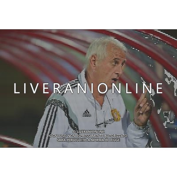 Bernard CHALLANDES - 14.10.2014 - Armenie / France - Match Amical Photo : Dave Winter / Icon Sport AG ALDO LIVERANI SAS ONLY ITALY