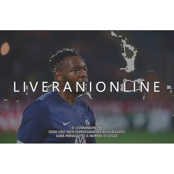 Steve MANDANDA - 14.10.2014 - Armenie / France - Match Amical Photo : Dave Winter / Icon Sport AG ALDO LIVERANI SAS ONLY ITALY