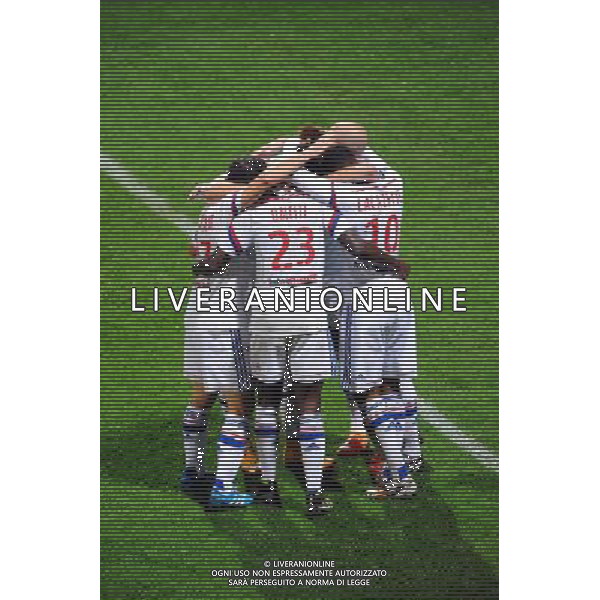 JOIE DE LYON - 19.10.2014 - Lyon / Montpellier - 10eme journee de Ligue 1 Photo : Jean Paul Thomas / Icon Sport AG ALDO LIVERANI SAS ONLY ITALY