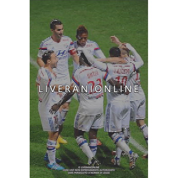 JOIE DE LYON - 19.10.2014 - Lyon / Montpellier - 10eme journee de Ligue 1 Photo : Jean Paul Thomas / Icon Sport *** Local Caption *** AG ALDO LIVERANI SAS ONLY ITALY *** Local Caption *** AG ALDO LIVERANI SAS ONLY ITALY