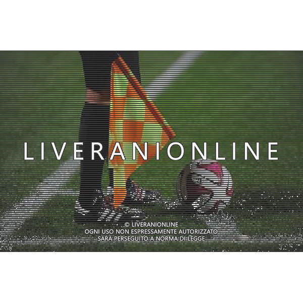 ILLUSTRATION - 19.10.2014 - Lyon / Montpellier - 10eme journee de Ligue 1 Photo : Jean Paul Thomas / Icon Sport AG ALDO LIVERANI SAS ONLY ITALY