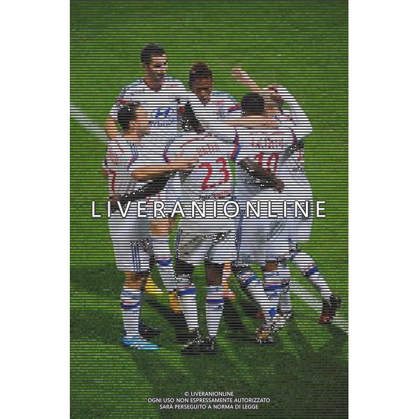 JOIE DE LYON - 19.10.2014 - Lyon / Montpellier - 10eme journee de Ligue 1 Photo : Jean Paul Thomas / Icon Sport AG ALDO LIVERANI SAS ONLY ITALY