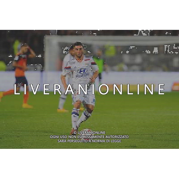 Jordan FERRI - 19.10.2014 - Lyon / Montpellier - 10eme journee de Ligue 1 Photo : Jean Paul Thomas / Icon Sport AG ALDO LIVERANI SAS ONLY ITALY