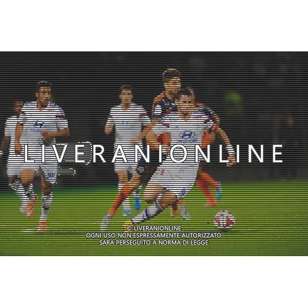 Maxime GONALONS - 19.10.2014 - Lyon / Montpellier - 10eme journee de Ligue 1 Photo : Jean Paul Thomas / Icon Sport AG ALDO LIVERANI SAS ONLY ITALY