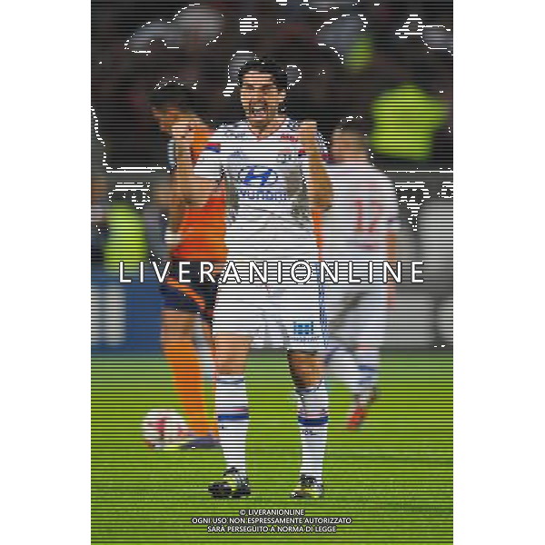 Milan BISEVAC - 19.10.2014 - Lyon / Montpellier - 10eme journee de Ligue 1 Photo : Jean Paul Thomas / Icon Sport AG ALDO LIVERANI SAS ONLY ITALY