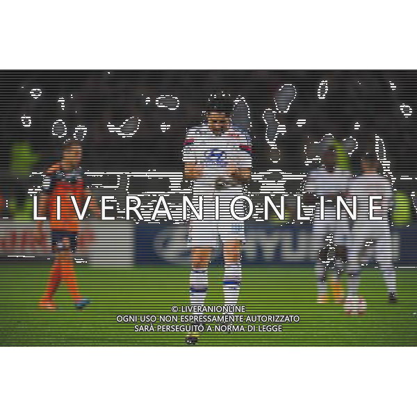 Milan BISEVAC - 19.10.2014 - Lyon / Montpellier - 10eme journee de Ligue 1 Photo : Jean Paul Thomas / Icon Sport AG ALDO LIVERANI SAS ONLY ITALY
