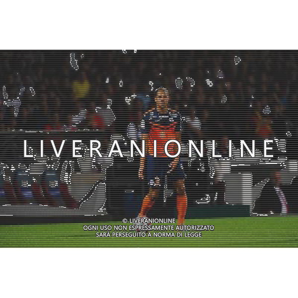 Daniel CONGRE - 19.10.2014 - Lyon / Montpellier - 10eme journee de Ligue 1 Photo : Jean Paul Thomas / Icon Sport AG ALDO LIVERANI SAS ONLY ITALY