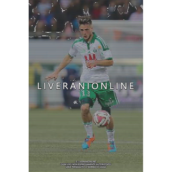 Ricky VAN WOLFSWINKEL - 18.10.2014 - Lorient / Saint Etienne - 10eme journee de Ligue 1 Photo : Vincent Michel / Icon Sport /Agenzia Aldo Liverani sas - ITALY ONLY - EDITORIAL USE ONLY