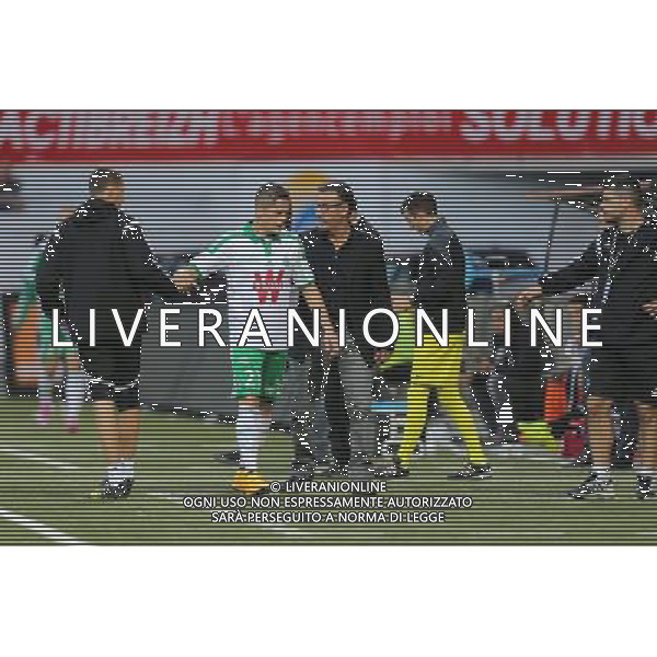 Romain HAMOUMA / Christophe GALTIER - 18.10.2014 - Lorient / Saint Etienne - 10eme journee de Ligue 1 Photo : Vincent Michel / Icon Sport /Agenzia Aldo Liverani sas - ITALY ONLY - EDITORIAL USE ONLY