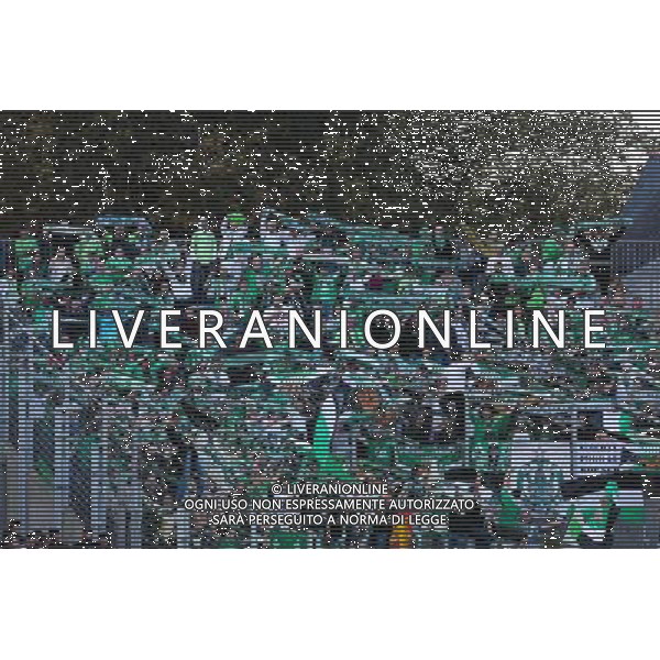 SUPPORTERS ST ETIENNE - 18.10.2014 - Lorient / Saint Etienne - 10eme journee de Ligue 1 Photo : Vincent Michel / Icon Sport /Agenzia Aldo Liverani sas - ITALY ONLY - EDITORIAL USE ONLY