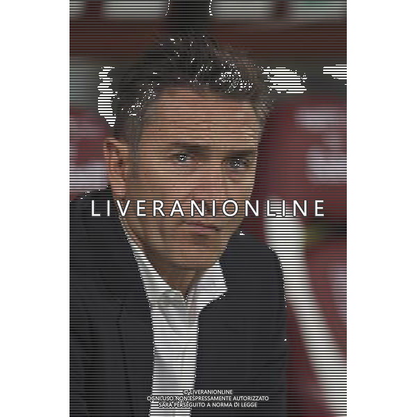 Philippe MONTANIER - 18.10.2014 - Metz / Rennes - 10eme journee de Ligue 1 Photo : Fred Marvaux / Icon Sport AG ALDO LIVERANI SAS ONLY ITALY *** Local Caption ***
