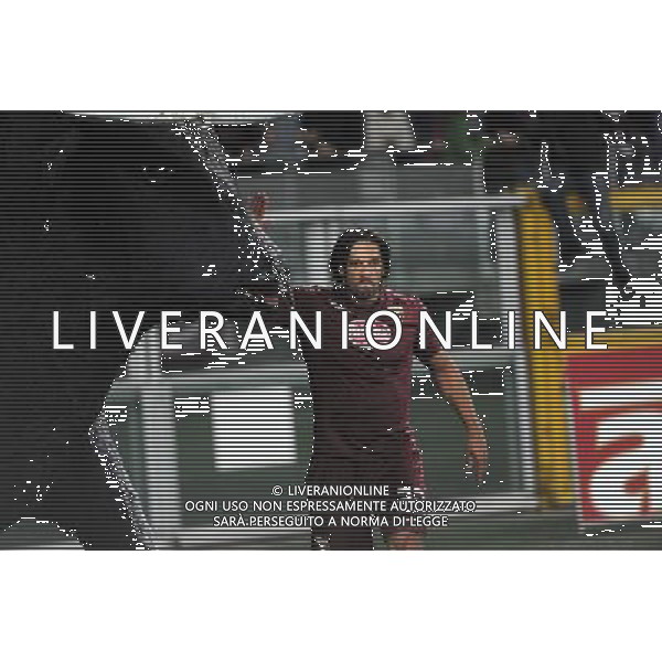 UEFA Europa League - Fase a gironi 3¡ Giornata Gruppo B Torino 23-10-2014 Stadio Olimpico Torino vs HJK Helsinki nella foto Amauri segna 2 a 0 Torino foto Roberto Garavaglia - ag. Aldo Liverani