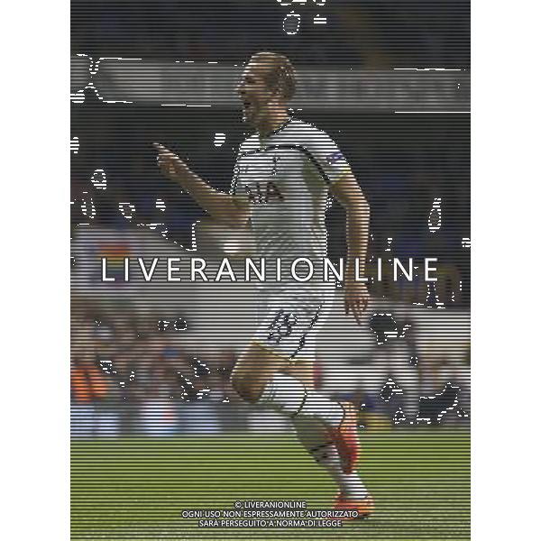 Tottenham Hotspur\'s Harry Kane celebrates his goal Photographer Kieran Galvin/CameraSport Football - UEFA Europa League First Round Group C - Tottenham Hotspur v Asteras Tripolis - Thursday 23rd October 2014 - White Hart Lane - London © CameraSport - 43 Linden Ave. Countesthorpe. Leicester. England. LE8 5PG - Tel: +44 (0) 116 277 4147 - admin@camerasport.com - www.camerasport.com