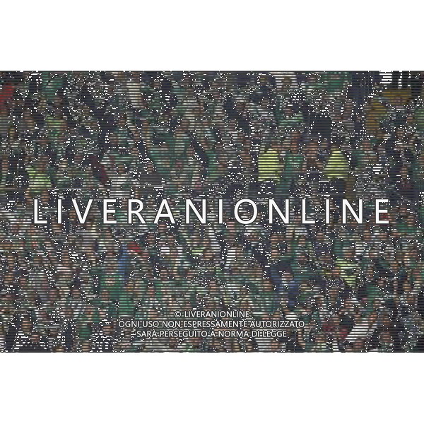 Supporters de Saint Etienne - 23.10.2014 - Inter Milan / Saint Etienne - Europa League Photo : Pierre Teyssot / Icon Sport /Agenzia Aldo Liverani sas - ITALY ONLY - EDITORIAL USE ONLY *** Local Caption ***