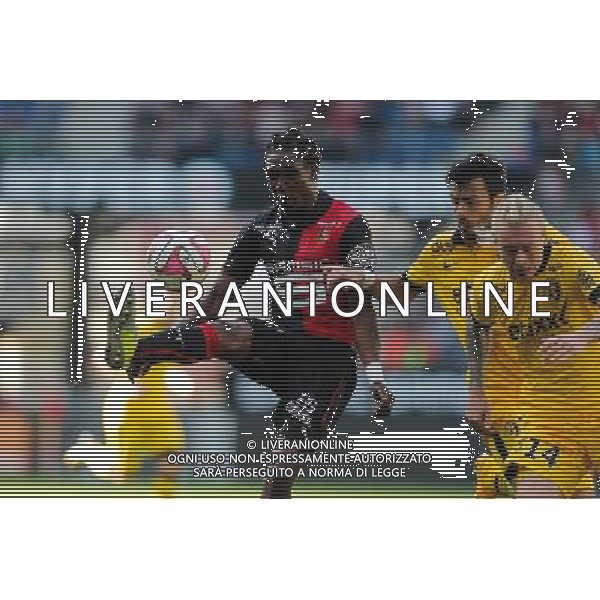 Mahamadou HABIBOU / Marko BASA / Simon KJAER - 26.10.2014 - Rennes / Lille - 11eme journee de Ligue 1 - Photo : Vincent Michel / Icon Sport /Agenzia Aldo Liverani sas - ITALY ONLY - EDITORIAL USE ONLY