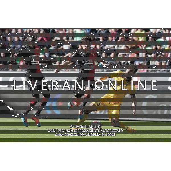 Vincent PAJOT / Marko BASA - 26.10.2014 - Rennes / Lille - 11eme journee de Ligue 1 - Photo : Vincent Michel / Icon Sport /Agenzia Aldo Liverani sas - ITALY ONLY - EDITORIAL USE ONLY