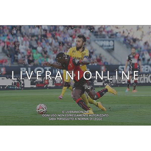 Paul Georges NTEP / Franck BERIA - 26.10.2014 - Rennes / Lille - 11eme journee de Ligue 1 - Photo : Vincent Michel / Icon Sport /Agenzia Aldo Liverani sas - ITALY ONLY - EDITORIAL USE ONLY