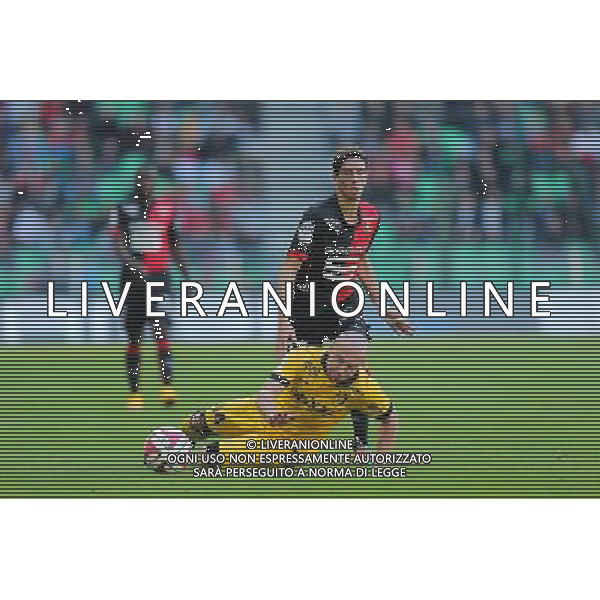 Vincent PAJOT / Florent BALMONT - 26.10.2014 - Rennes / Lille - 11eme journee de Ligue 1 - Photo : Vincent Michel / Icon Sport /Agenzia Aldo Liverani sas - ITALY ONLY - EDITORIAL USE ONLY