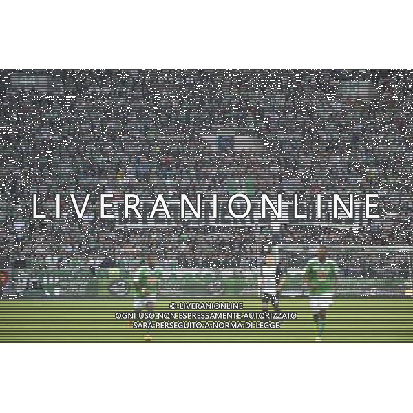 Supporters Saint Etienne - 26.10.2014 - Saint Etienne / Metz - 11eme journee Ligue Photo : Jean Paul Thomas / Icon Sport /Agenzia Aldo Liverani sas - ITALY ONLY - EDITORIAL USE ONLY