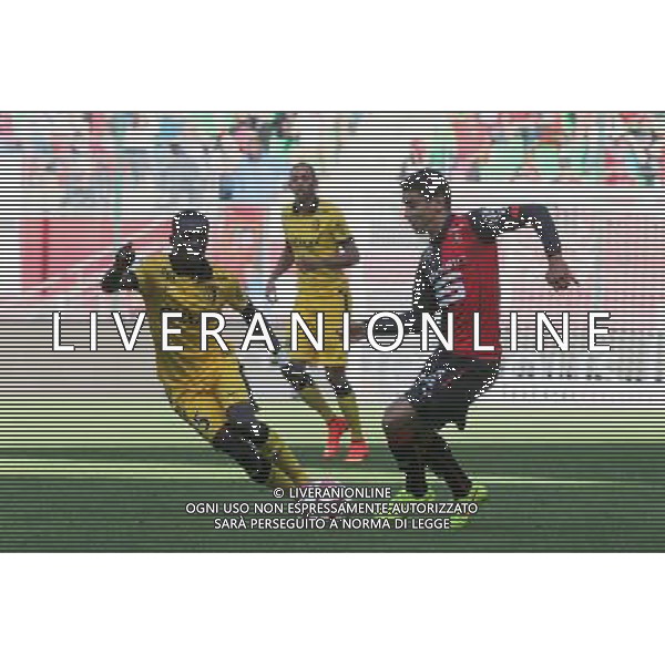 Benjamin ANDRE / Idrissa GUEYE - 26.10.2014 - Rennes / Lille - 11eme journee de Ligue 1 - Photo : Vincent Michel / Icon Sport /Agenzia Aldo Liverani sas - ITALY ONLY - EDITORIAL USE ONLY