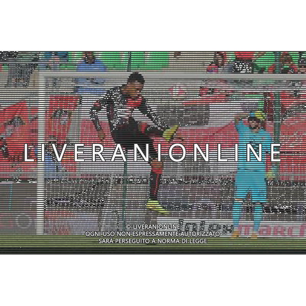 MEXER - 26.10.2014 - Rennes / Lille - 11eme journee de Ligue 1 - Photo : Vincent Michel / Icon Sport /Agenzia Aldo Liverani sas - ITALY ONLY - EDITORIAL USE ONLY
