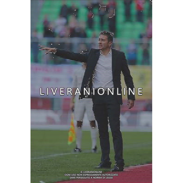 Philippe MONTANIER - 26.10.2014 - Rennes / Lille - 11eme journee de Ligue 1 - Photo : Vincent Michel / Icon Sport /Agenzia Aldo Liverani sas - ITALY ONLY - EDITORIAL USE ONLY